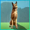 FO76 German shepherd bundle