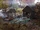 Chalet de la famille Groves