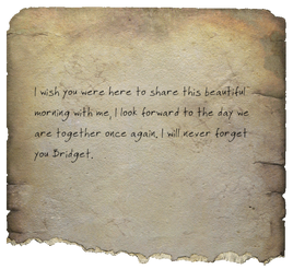 Love letter to Bridget