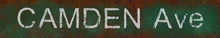 FO76 Camden Ave