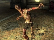 FO3 feral ghoul.jpg (374 KB) A feral ghoul in Fallout 3