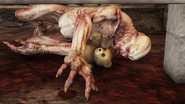 The body of a trog holding a teddy bear can be found under a platform in the Sanctum