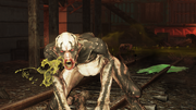 Trog Devourer