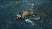 FO76 Ford.png