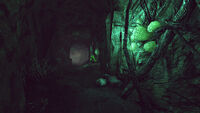 Fo76 Wendigo cave (3)