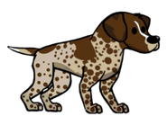 German Pointer