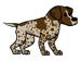 German Pointer