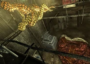 Tema máquina del amor