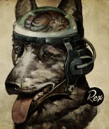 雷克斯头在辐射:新维加斯墙纸