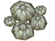 Barnacles.png (1,18 Mio) Colonie de bernacles