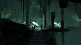 Coastal Grotto