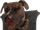 FO4-Mounted-Dog-Head.png