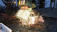 FO76SR Minos.png (3 MB)