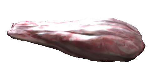 Meat bag (Fallout 4), Fallout Wiki