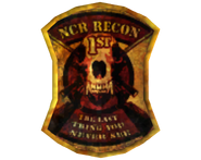 1st Recon badge