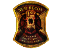 1st Recon badge