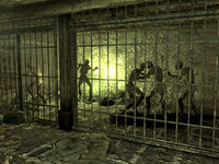 Group of swamp ghouls caged in the trapper shack's basement