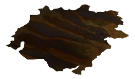 Tanned Golden Gecko Hide