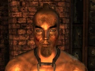 FO3TPPittRaider5.png (567 KB)