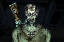 FO3 MichaelMasters w helmet