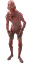 Fo4-pink-ghoul.png