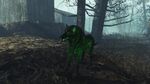 Fo4FH mutant wolf