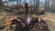 FO4 Radscorpion Hunter