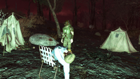 Another possible appearance