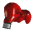 Boxing gloves