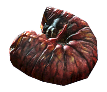 Fried fog crawler.png