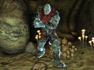 Nightkin master.jpg (337 KB) The only fixed nightkin master in Black Rock cave