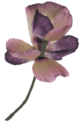 FO76 Fern flower nif