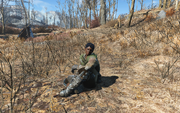 Fo4 Irradiated Woman