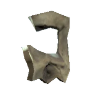 Skull fragment.png (25 KB) Skull fragment