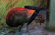 FO76 Tick.png