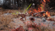 Scorched Stingwing.png