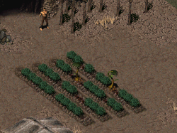 Spore plant (Fallout 2) | Fallout Wiki | Fandom