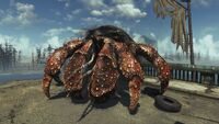 FO4-FarHarbor-Creature-HermitCrab5