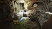 FO76 V94 GreenhouseTerminal 3.jpg