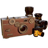 FO76 Atomic Shop - Summerville fancy camera paint