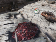 Flies surrounding a meat pile in Fallout 76