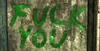 FO3 FU graffiti