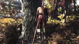 FO76 Helvetia (Reaver scout)
