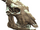 Sheepsquatch skull