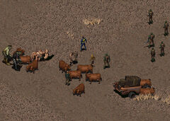 Complete brahmin drive
