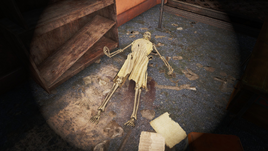 FO4NW Kate Leavitt