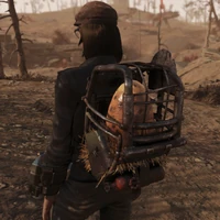 Egg carrier backpack (potential reward)