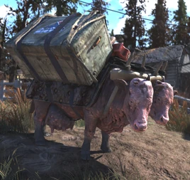 FO76OB Hocus & Pocus