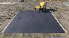 Fo4 Rug with chair