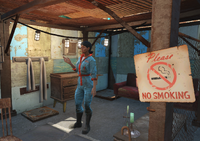 "No smoking"
